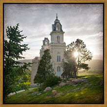 Load image into Gallery viewer, Manti Brightness and Glory
