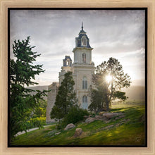 Load image into Gallery viewer, Manti Brightness and Glory
