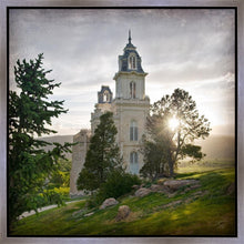 Load image into Gallery viewer, Manti Brightness and Glory
