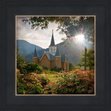 Load image into Gallery viewer, Provo CC Brightness and Glory
