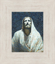Load image into Gallery viewer, In The Light
