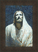 Load image into Gallery viewer, In The Light
