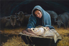 Load image into Gallery viewer, The Young Messiah
