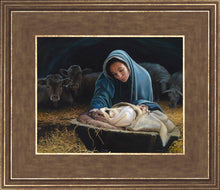 Load image into Gallery viewer, The Young Messiah
