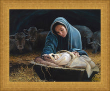 Load image into Gallery viewer, The Young Messiah
