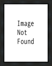 Load image into Gallery viewer, Drink And Never Thirst
