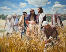 Load image into Gallery viewer, Lord of the Sabbath
