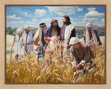 Load image into Gallery viewer, Lord of the Sabbath

