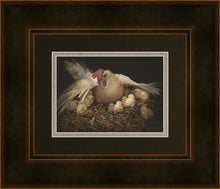 Load image into Gallery viewer, I Would Gather Thee
