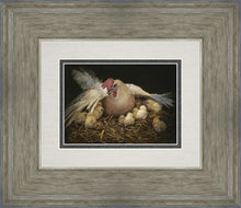 Load image into Gallery viewer, I Would Gather Thee
