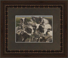 Load image into Gallery viewer, Sheep And Goats
