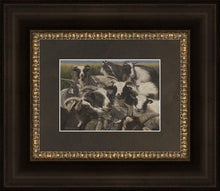 Load image into Gallery viewer, Sheep And Goats
