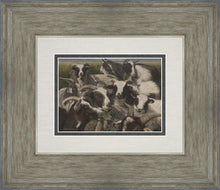 Load image into Gallery viewer, Sheep And Goats
