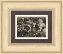 Load image into Gallery viewer, Sheep And Goats
