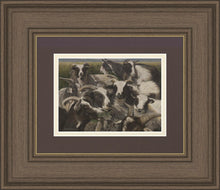 Load image into Gallery viewer, Sheep And Goats
