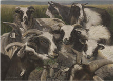 Load image into Gallery viewer, Sheep And Goats
