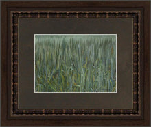Load image into Gallery viewer, The Wheat And The Tares
