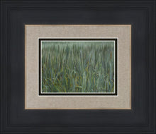Load image into Gallery viewer, The Wheat And The Tares
