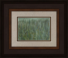 Load image into Gallery viewer, The Wheat And The Tares
