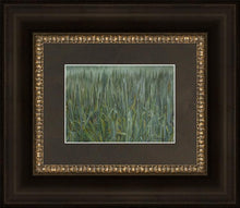 Load image into Gallery viewer, The Wheat And The Tares
