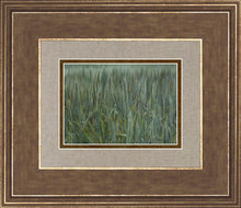 Load image into Gallery viewer, The Wheat And The Tares
