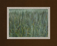 Load image into Gallery viewer, The Wheat And The Tares
