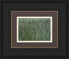 Load image into Gallery viewer, The Wheat And The Tares
