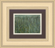 Load image into Gallery viewer, The Wheat And The Tares
