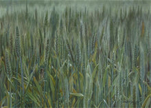 Load image into Gallery viewer, The Wheat And The Tares
