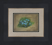 Load image into Gallery viewer, Forget Me Not
