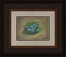 Load image into Gallery viewer, Forget Me Not
