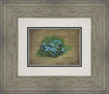 Load image into Gallery viewer, Forget Me Not
