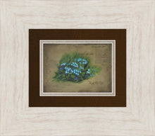 Load image into Gallery viewer, Forget Me Not
