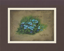 Load image into Gallery viewer, Forget Me Not
