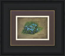 Load image into Gallery viewer, Forget Me Not
