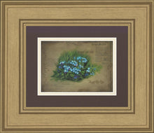 Load image into Gallery viewer, Forget Me Not

