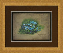 Load image into Gallery viewer, Forget Me Not
