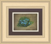 Load image into Gallery viewer, Forget Me Not
