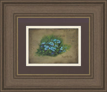 Load image into Gallery viewer, Forget Me Not
