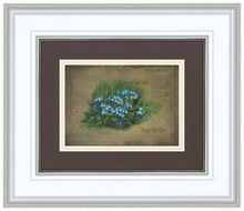 Load image into Gallery viewer, Forget Me Not

