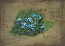 Load image into Gallery viewer, Forget Me Not
