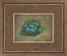 Load image into Gallery viewer, Forget Me Not
