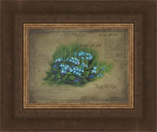 Load image into Gallery viewer, Forget Me Not
