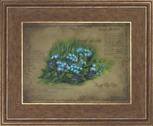 Load image into Gallery viewer, Forget Me Not

