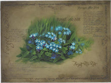 Load image into Gallery viewer, Forget Me Not
