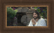 Load image into Gallery viewer, My Redeemer Lives
