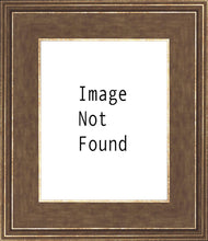 Load image into Gallery viewer, Lamb of God
