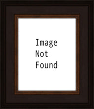 Load image into Gallery viewer, Let the Children Come
