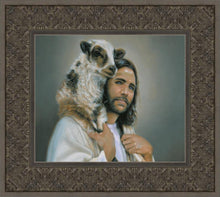 Load image into Gallery viewer, Lost Sheep
