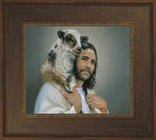 Load image into Gallery viewer, Lost Sheep
